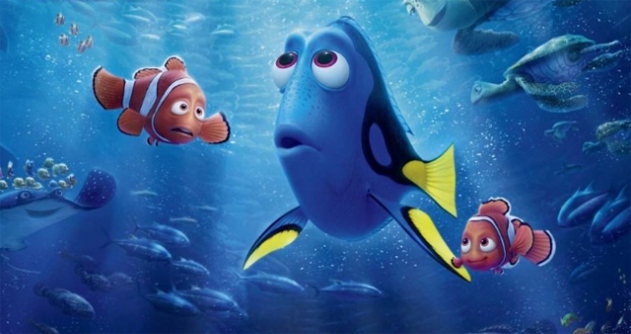 short term memory dory